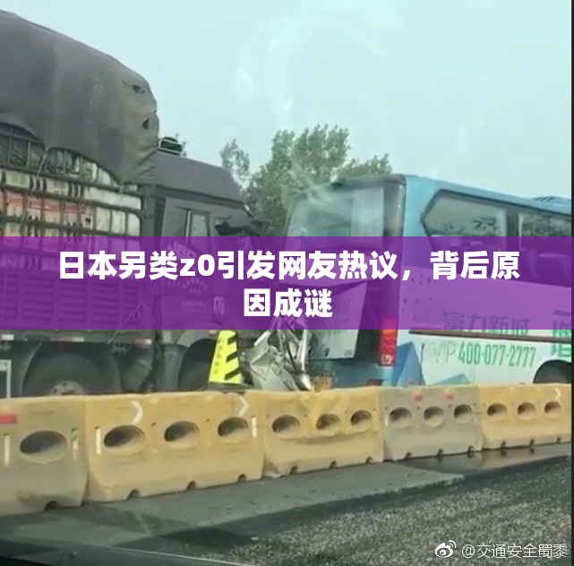 日本另类z0引发网友热议，背后原因成谜