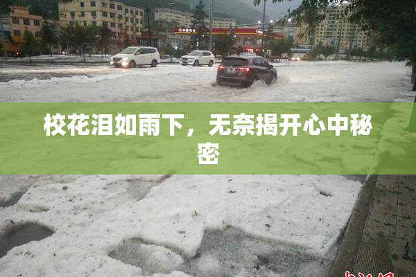 校花泪如雨下，无奈揭开心中秘密