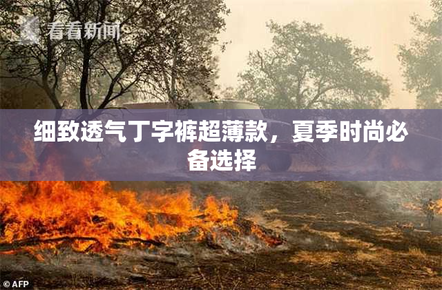 细致透气丁字裤超薄款，夏季时尚必备选择