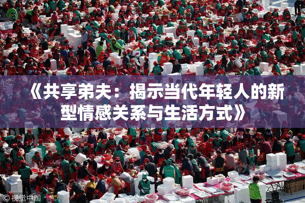 《共享弟夫：揭示当代年轻人的新型情感关系与生活方式》