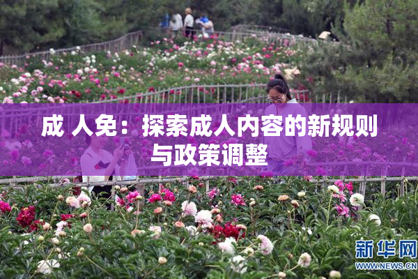 成 人免：探索成人内容的新规则与政策调整
