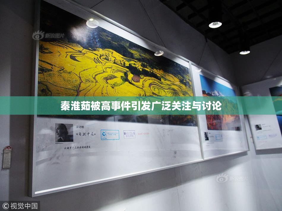 秦淮茹被高事件引发广泛关注与讨论