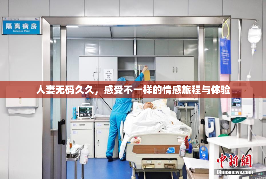 人妻无码久久，感受不一样的情感旅程与体验