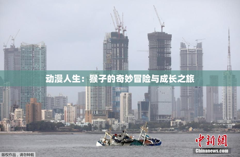 动漫人生：猴子的奇妙冒险与成长之旅