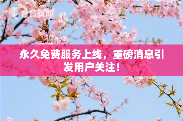 永久免费服务上线，重磅消息引发用户关注！