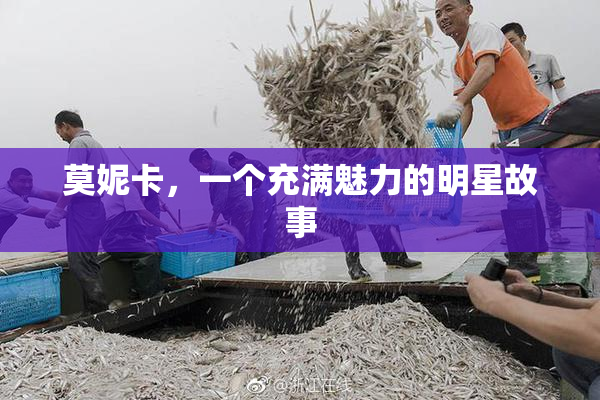 莫妮卡，一个充满魅力的明星故事