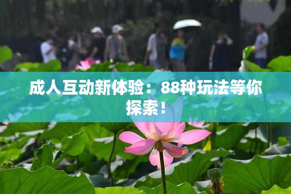 成人互动新体验：88种玩法等你探索！
