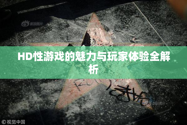 HD性游戏的魅力与玩家体验全解析