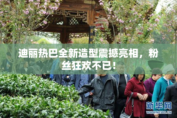 迪丽热巴全新造型震撼亮相，粉丝狂欢不已！