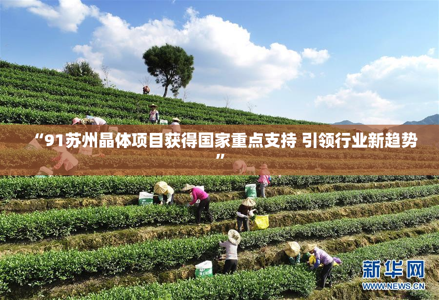 “91苏州晶体项目获得国家重点支持 引领行业新趋势”