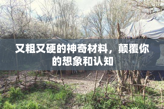 又粗又硬的神奇材料，颠覆你的想象和认知