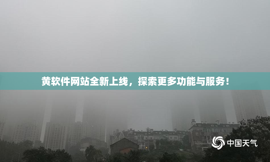 黄软件网站全新上线，探索更多功能与服务！