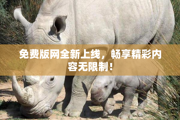 免费版网全新上线，畅享精彩内容无限制！