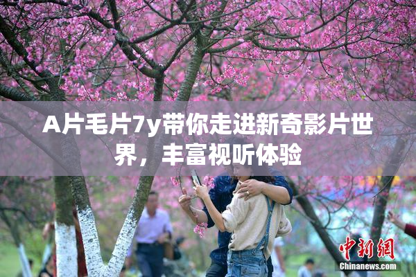 A片毛片7y带你走进新奇影片世界，丰富视听体验