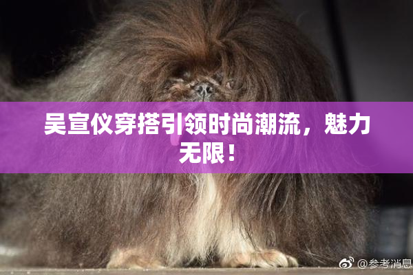 吴宣仪穿搭引领时尚潮流，魅力无限！