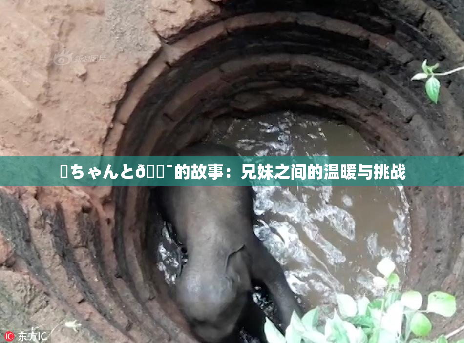 姉ちゃんと🔯的故事：兄妹之间的温暖与挑战