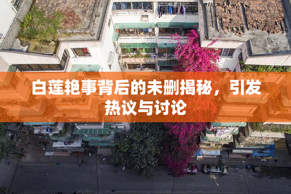 白莲艳事背后的未删揭秘，引发热议与讨论