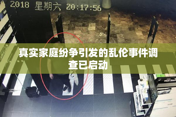 真实家庭纷争引发的乱伦事件调查已启动
