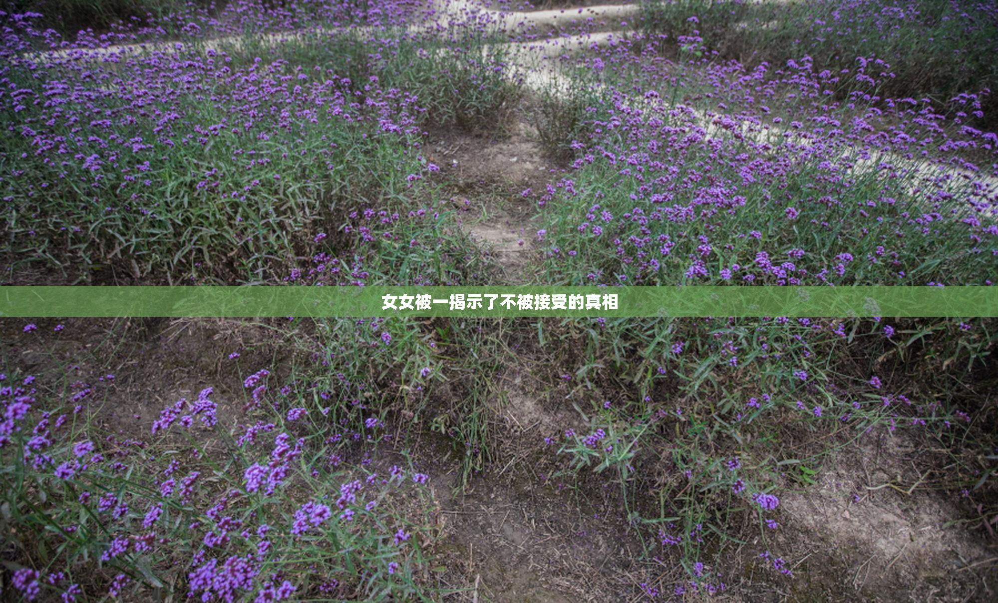 女女被一揭示了不被接受的真相