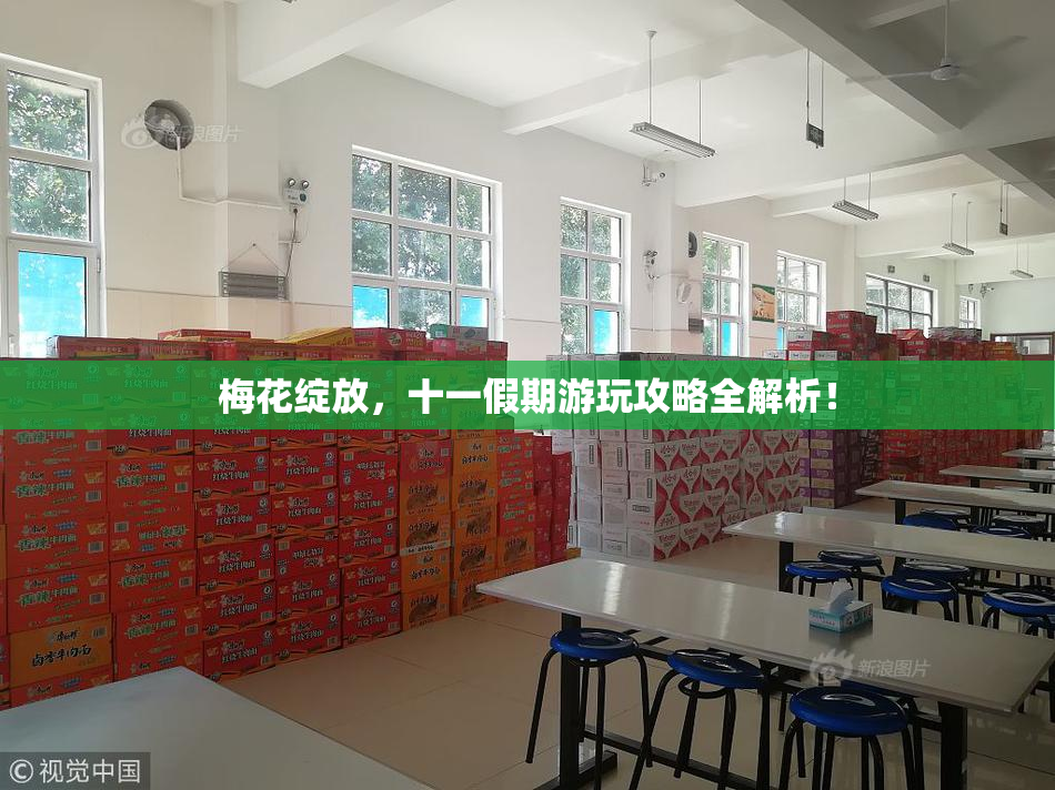梅花绽放，十一假期游玩攻略全解析！