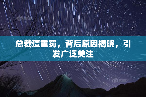 总裁遭重罚，背后原因揭晓，引发广泛关注
