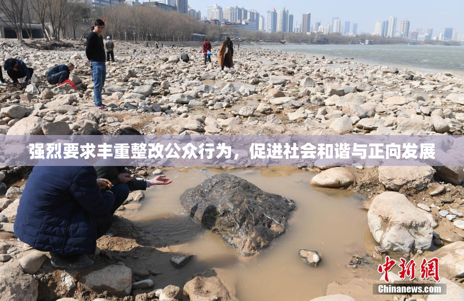 强烈要求丰重整改公众行为，促进社会和谐与正向发展
