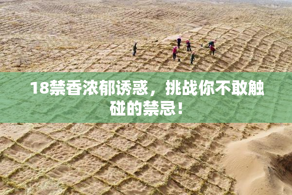 18禁香浓郁诱惑，挑战你不敢触碰的禁忌！