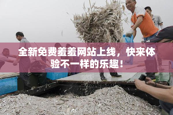 全新免费羞羞网站上线，快来体验不一样的乐趣！