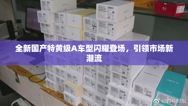 全新国产特黄级A车型闪耀登场，引领市场新潮流