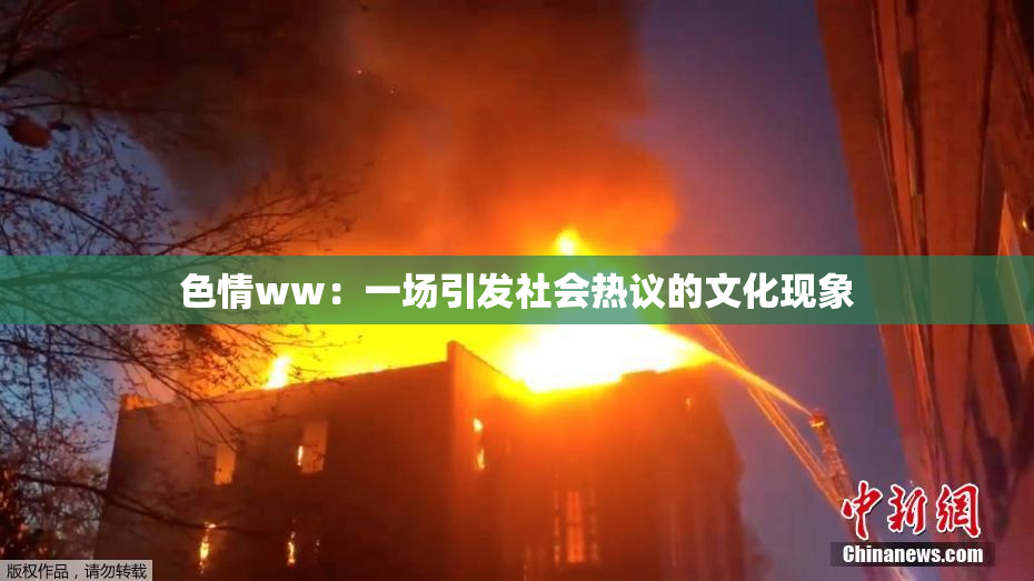 色情ww：一场引发社会热议的文化现象
