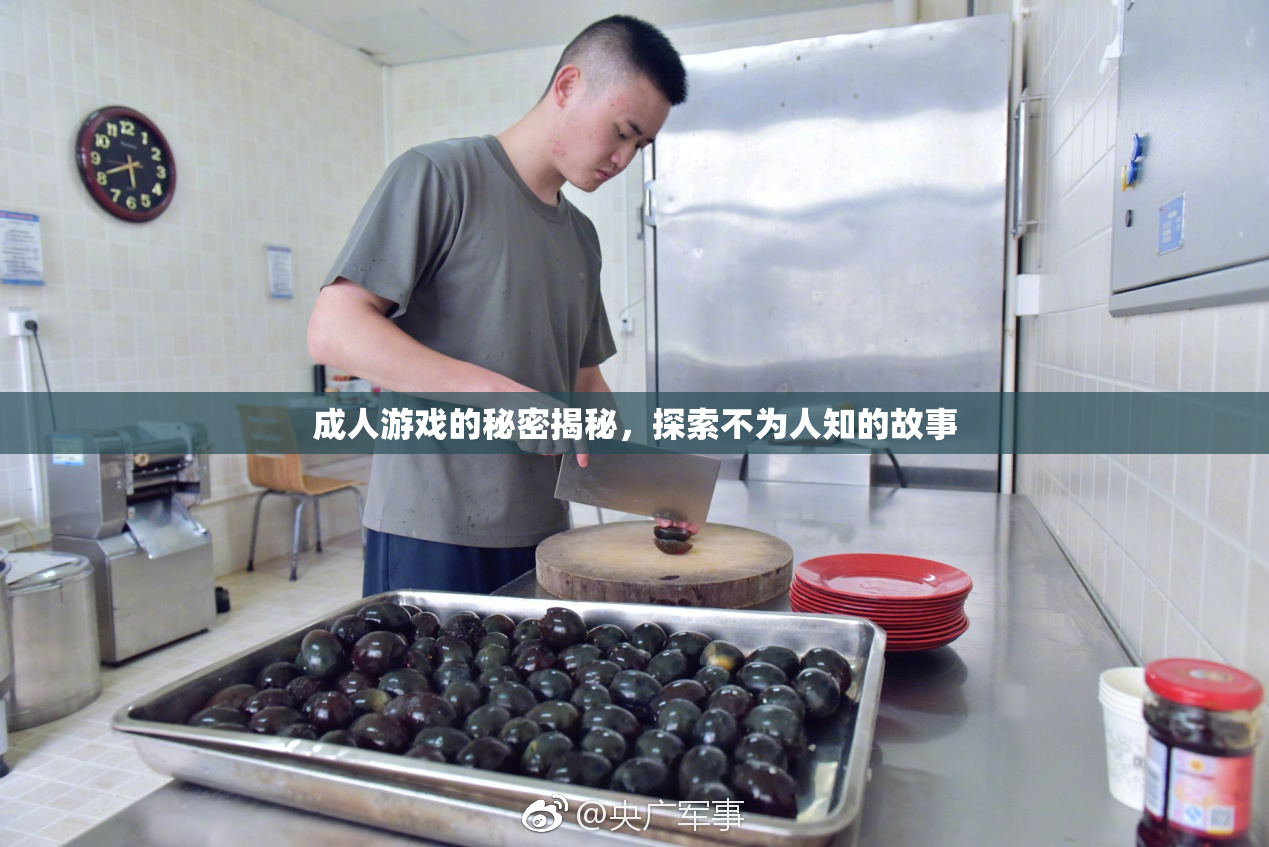 成人游戏的秘密揭秘，探索不为人知的故事
