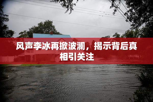 风声李冰再掀波澜，揭示背后真相引关注