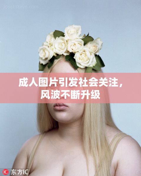 成人图片引发社会关注，风波不断升级