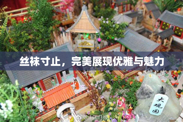 丝袜寸止，完美展现优雅与魅力