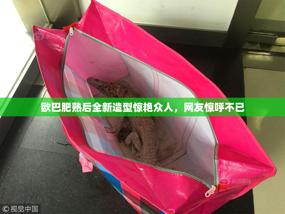 欧巴肥熟后全新造型惊艳众人，网友惊呼不已