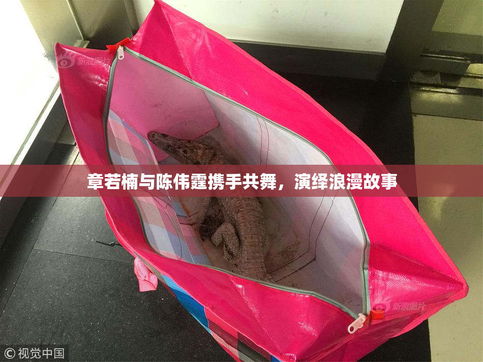 章若楠与陈伟霆携手共舞，演绎浪漫故事
