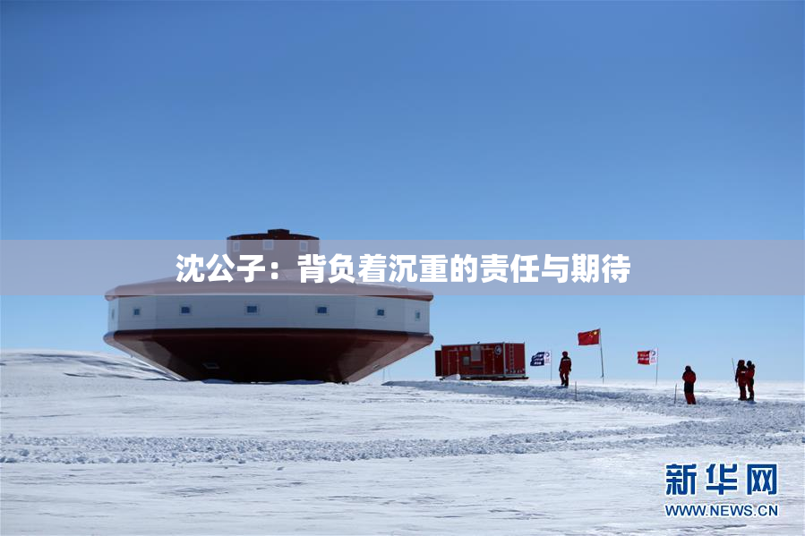 沈公子：背负着沉重的责任与期待
