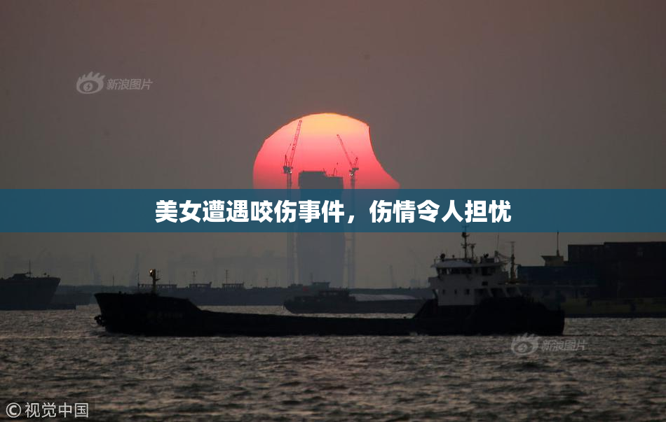 美女遭遇咬伤事件，伤情令人担忧