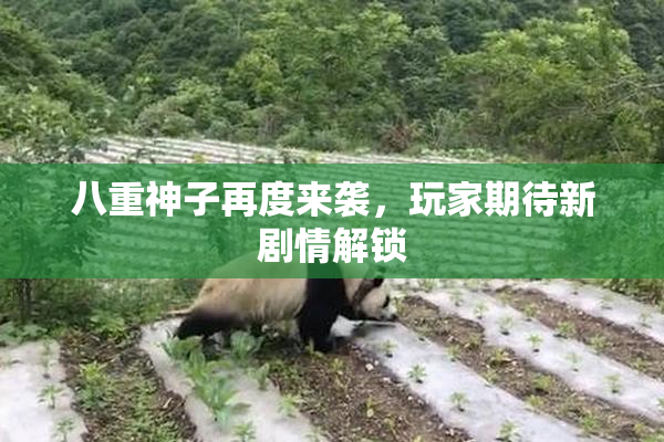 八重神子再度来袭，玩家期待新剧情解锁