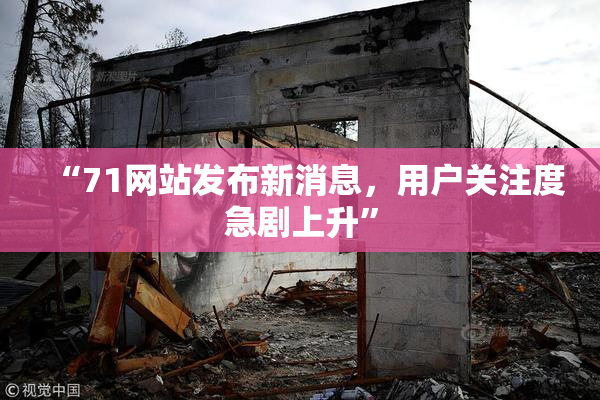 “71网站发布新消息，用户关注度急剧上升”