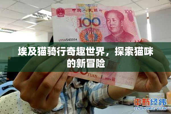 埃及猫骑行奇趣世界，探索猫咪的新冒险