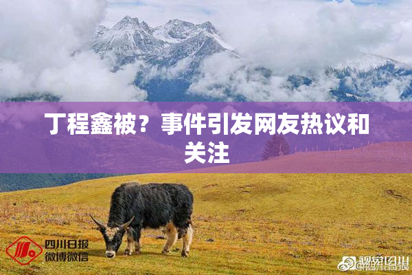 丁程鑫被？事件引发网友热议和关注
