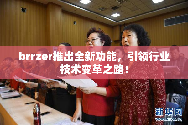 brrzer推出全新功能，引领行业技术变革之路！