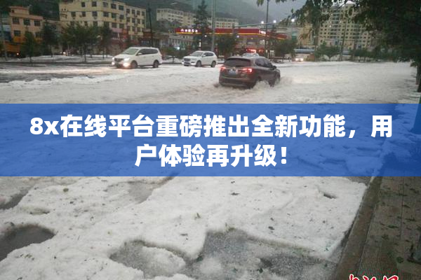 8x在线平台重磅推出全新功能，用户体验再升级！