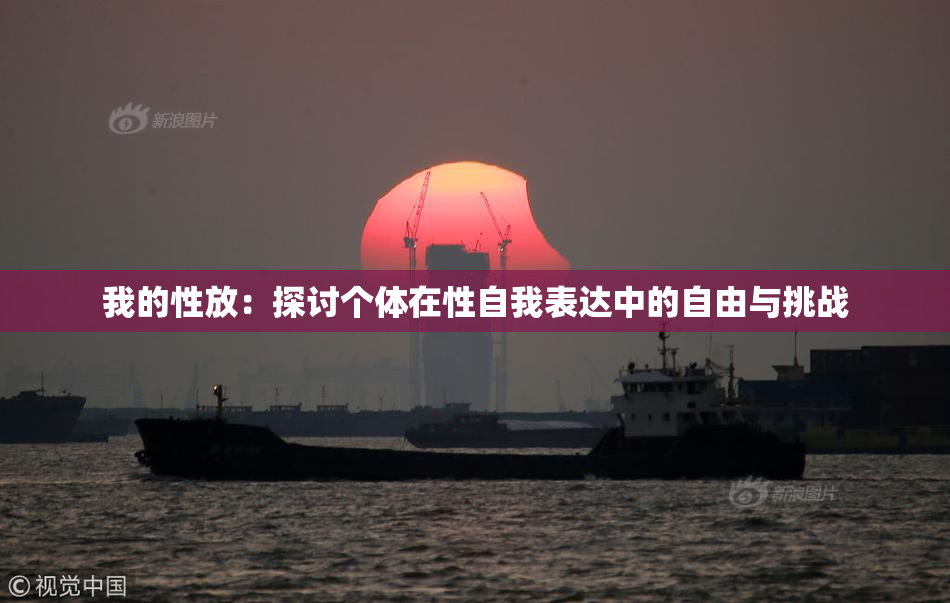 我的性放：探讨个体在性自我表达中的自由与挑战