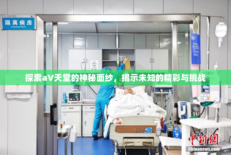 探索a∨天堂的神秘面纱，揭示未知的精彩与挑战
