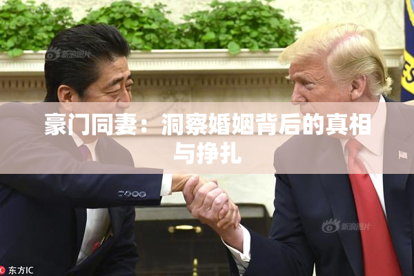 豪门同妻：洞察婚姻背后的真相与挣扎