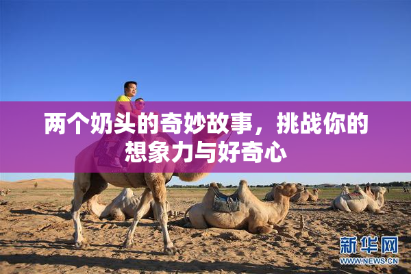 两个奶头的奇妙故事，挑战你的想象力与好奇心