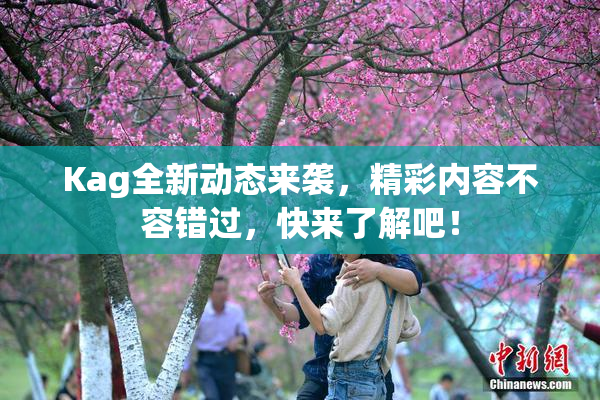 Kag全新动态来袭，精彩内容不容错过，快来了解吧！