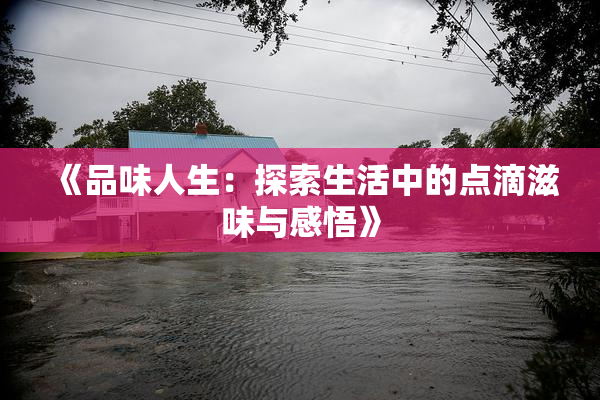 《品味人生：探索生活中的点滴滋味与感悟》